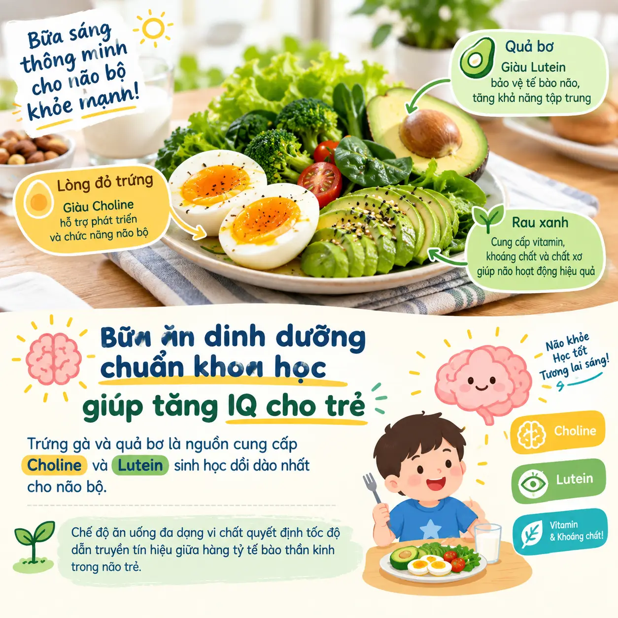 Con học trước quên sau? Có thể bạn đang bỏ sót “bộ ba” Choline – Lutein – Sắt