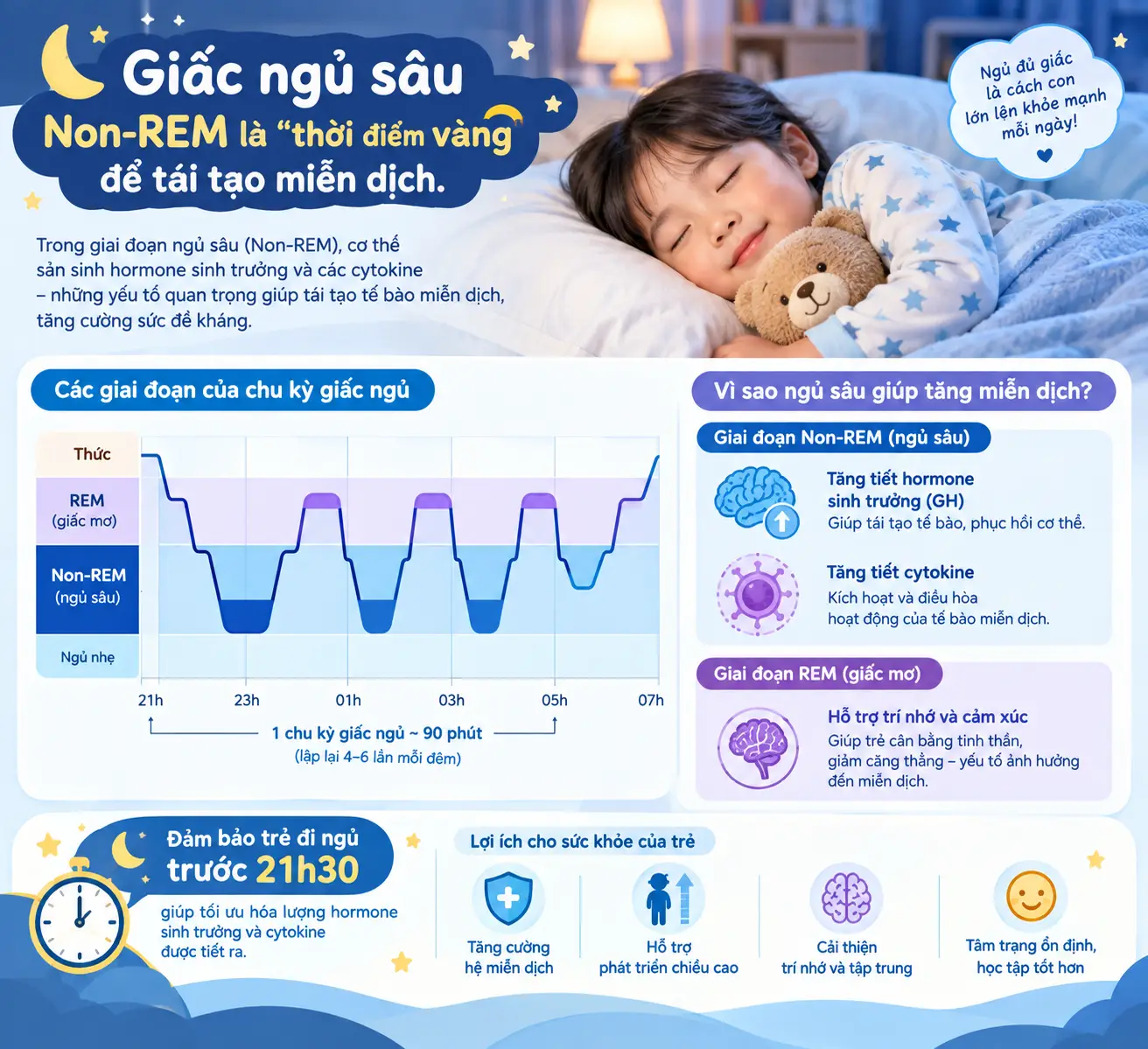Biểu đồ chu kỳ giấc ngủ sâu sản sinh kháng thể